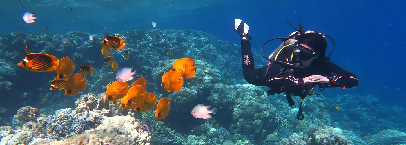 Egypt International Diving